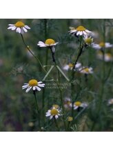 全力ストレッチ 表参道店/全力ストレッチ　表参道店