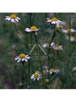 全力ストレッチ 表参道店/全力ストレッチ　表参道店