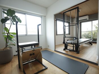 芯ボディ(芯BODY)