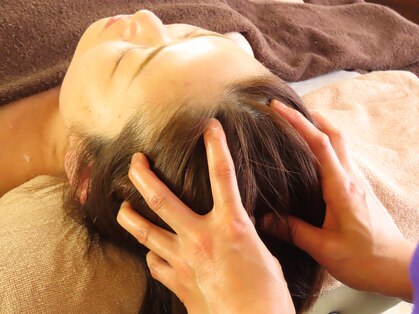 フリージア(freesia)の写真