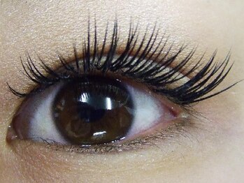 ヴィクーニャ(VICUNA)/目力バッチリ☆印象的な目元に！