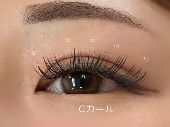 リブレ(Libre)/ダブルフラット80束(160本)