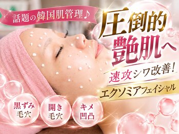 フルール(Fleur.)の写真/シミ・シワは「肌だけ」のケアでは足りない。【最先端プラズマ×腸もみデトックス】が深刻な肌悩みの最適解