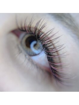 シックドゥホンジョウ(CHIC de Honjo)/カラーバインドロック