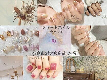 フィグ(Fig)の写真