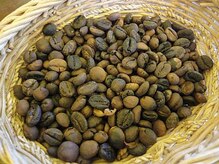 アジアンリラクゼーション ヴィラ 大橋店(asian relaxation villa)/バリ島のコーヒー