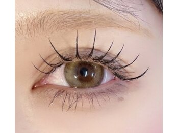 カリーナ(Carina)/フラットマットラッシュ