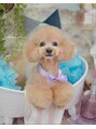 ププコザビューティー(PUPUCO THE BEAUTY) お店の名前の由来でもある愛犬のぷぷです愛称“ぷぷこ”
