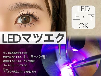 ケー(K)の写真