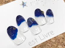 エストリブレ(estLivre)/夜空ネイル