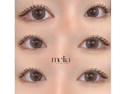 メリア(melia)の写真