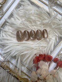 期間限定定額Mコース