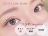 今だけ破格!!【LEDまつエク　ボリュームラッシュつけ放題】LED料金無料★ 