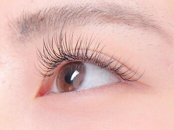 ネオリーブサイン(Neolive sign)の写真/【カラーエクステ80本～】ブラウン/カーキブラウン/ワインレッド/カラーMIXもOK☆最高級ミンクも取扱！