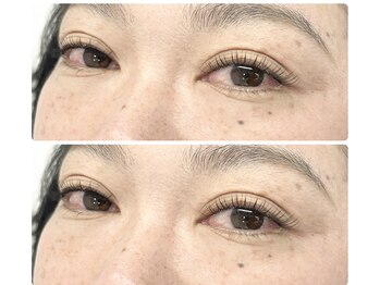 ティピ(tipi)/フラットラッシュ120本