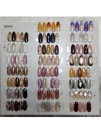 定額9,900