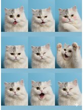 ＮＥＣＯＣＯ ゆり 