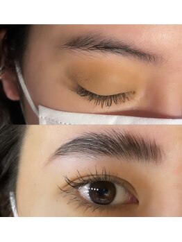 メイティー(MATEY)/ハリウッドブロウリフト