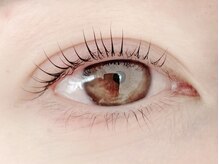 コロル(COLOR)/まつげパーマ