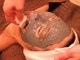 耳つぼアンドスリムケア イヤローブ(Earlobe)の写真/【駆け込みOK】ブライダルメニュー多数ご用意◎360度どこから撮ってもキレイな花嫁姿にお仕上げします♪