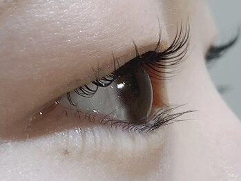 カラン 焼津店(CALIN)/ラスティングカール