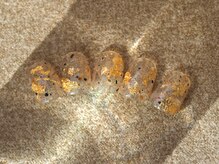 ツインネイル 久屋大通店(twin.nail)/アシメデザイン ¥4980