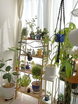 ウェルネスマルカ(wellness MARCA)/店内写真