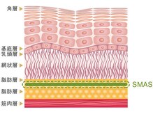 カン コルギセラピー 横浜(KAN)/コラーゲン増幅タイトアップ効果