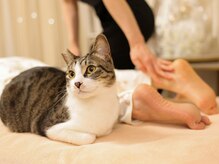 サロン ねこ