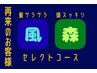 【 再来 】５０分 脳HUG ヘッドスパ＋トリートメント【選べる2種】 ８２００