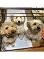 ポノ(PONO) 愛のかたまり