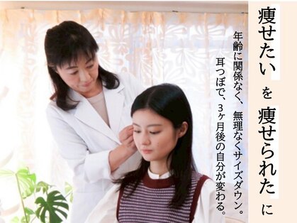 アコ(AKO)の写真