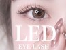 【初回オフ無料】LEDフラットラッシュ100本★オープン限定価格￥6500