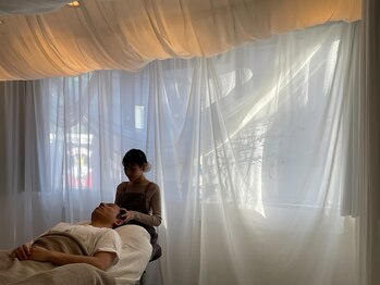 ルピナス(Lupinus)/