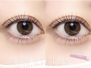 ベレアラッシュ 中野(Bellea Lash)/まつげパーマ上下 [中顔面短縮]