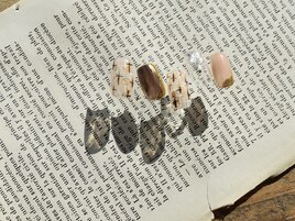 1月select(Q)6,980円/全10種