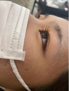 ジョリー(Jolie)/