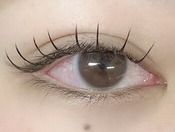 ローラン(LORAN)/LED flat lash120本