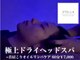 ステラ(STELLA)の写真