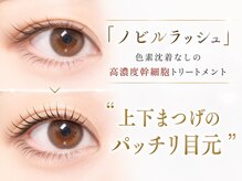 エルア 緑井店(elua)の雰囲気（のびーるまつ毛パーマ ［まつげ/まつ毛/パリジェンヌ/眉毛］）