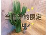 【当日予約限定♪】バインド×ロイッシュカラー100束¥8910