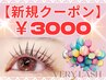 パリジェンヌラッシュリフト/潤いまつげパーマ　3000円　指名不可