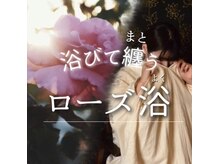 ソセイラボエステティック(SOSEI Lab. esthetic)/