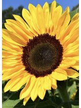 華楽 豊明店&nbsp;愛 子