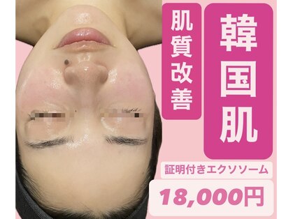 ディサイドロー(DECIDE L.A.W)の写真