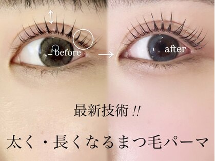 プランドール(prendre)の写真