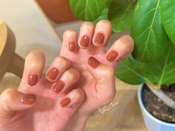 クレー(Klee)/美ワンカラー