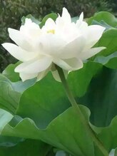 リラクゼーション豊 森