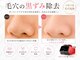 イロドリ(IRODORI)の写真