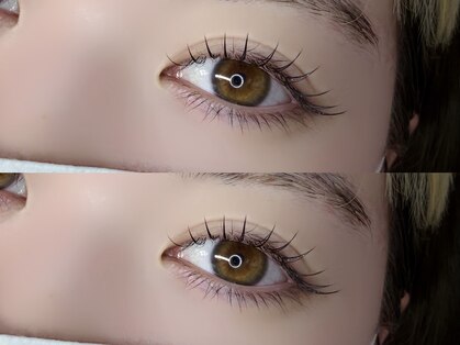 アネラ(ANELA)の写真